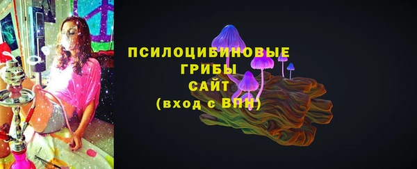 амф Бородино