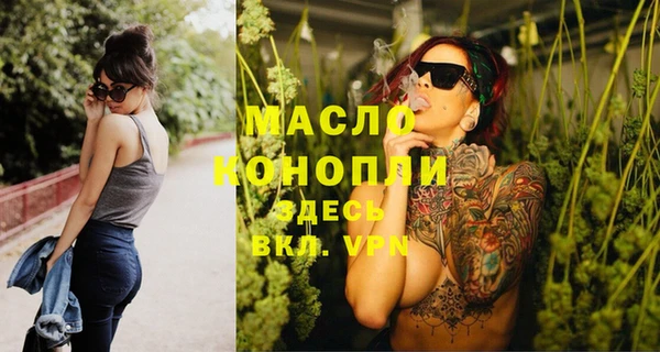 амф Бородино