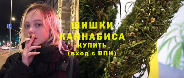 амф Бородино